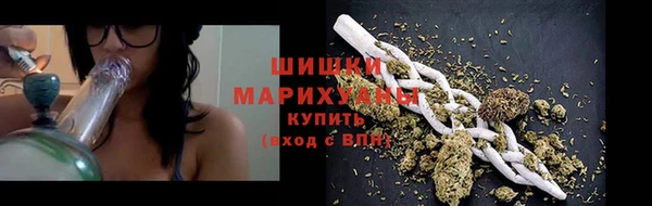 PSILOCYBIN Бородино