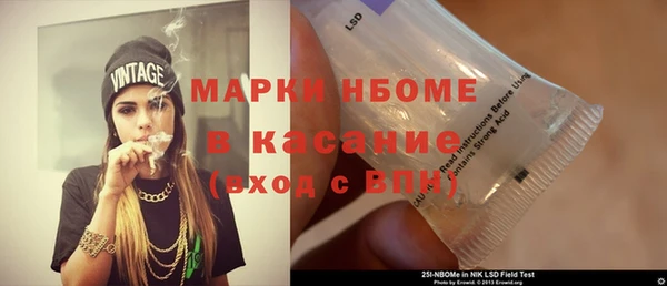 PSILOCYBIN Бородино