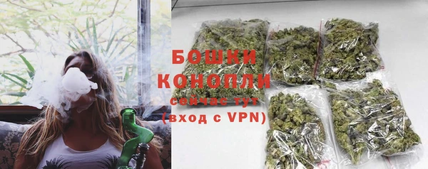 PSILOCYBIN Бородино