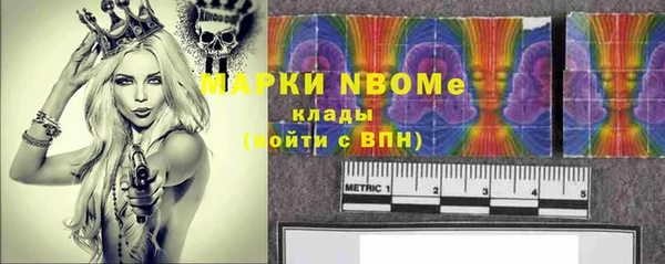 PSILOCYBIN Бородино