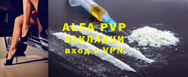 PSILOCYBIN Бородино