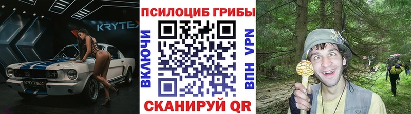 Псилоцибиновые грибы ЛСД  Пушкино 